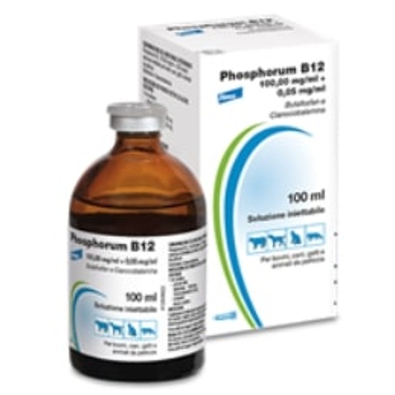 PHOSPHORUM B12 - 100 ML